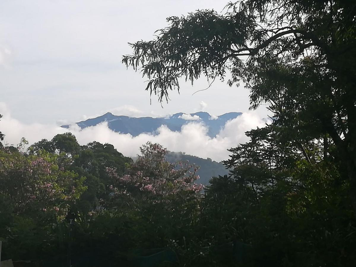 Bed and Breakfast Jungle Tide Kandy Zewnętrze zdjęcie