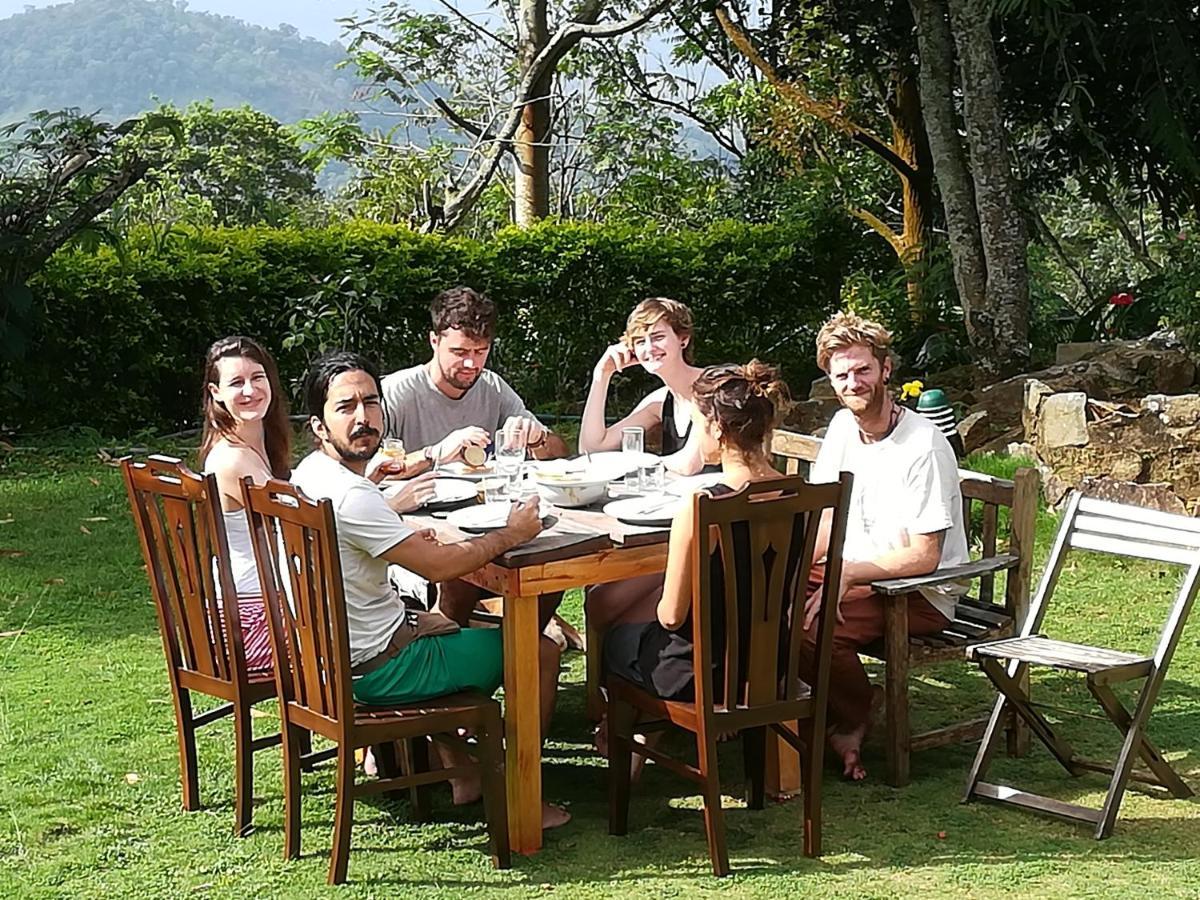 Bed and Breakfast Jungle Tide Kandy Zewnętrze zdjęcie