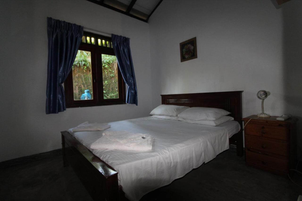 Bed and Breakfast Jungle Tide Kandy Zewnętrze zdjęcie