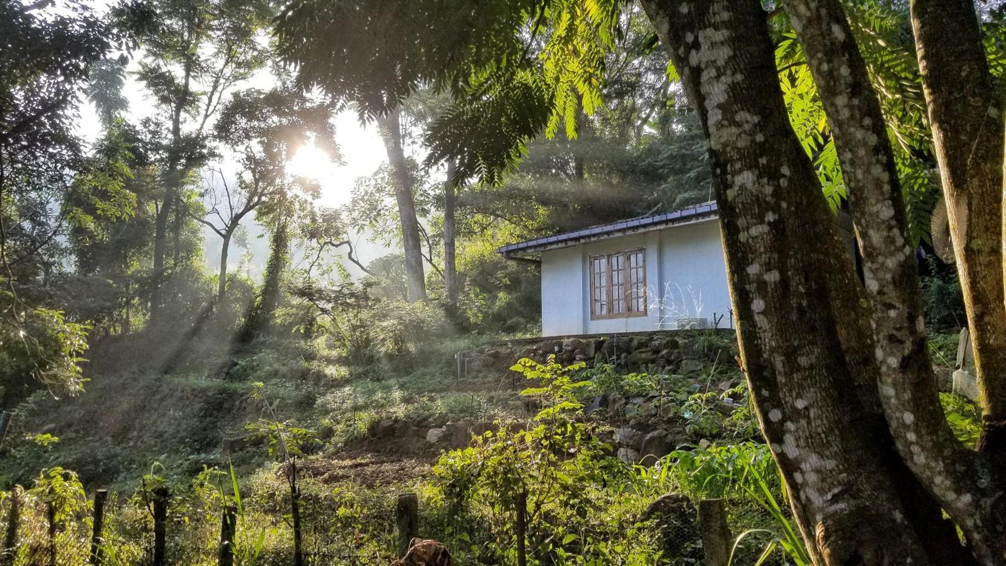 Bed and Breakfast Jungle Tide Kandy Zewnętrze zdjęcie