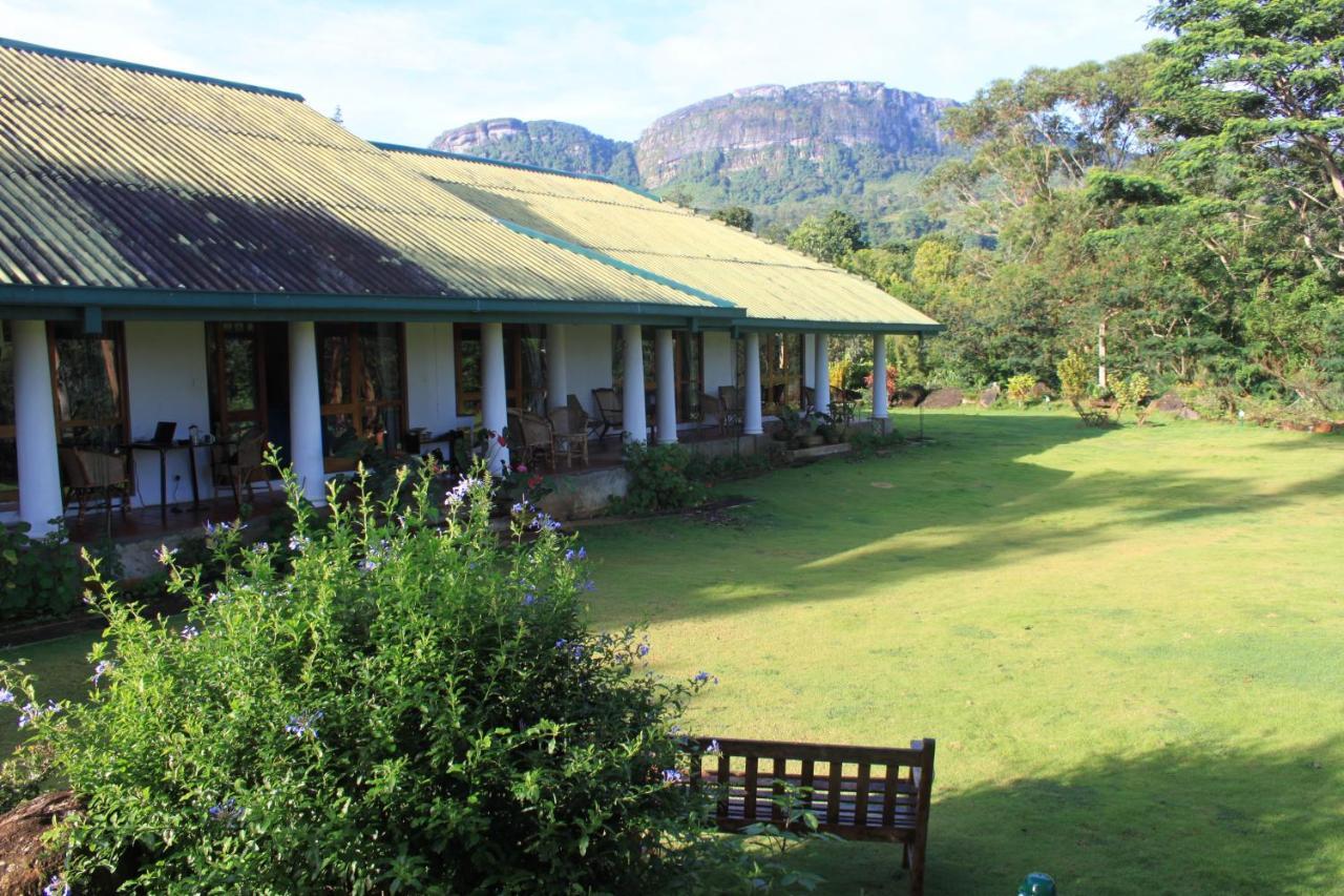 Bed and Breakfast Jungle Tide Kandy Zewnętrze zdjęcie